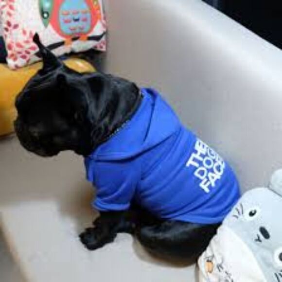 The Dog Face - Dog Hoodie/Sweatshirt, Blue with White Letters, Size 2XL, NWOT - Picture 1 of 4